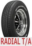 Radial T/A P245/60R15 100S RWL